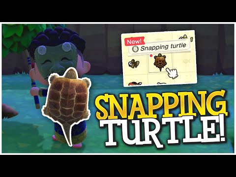 SO LUCKY! How To Catch A Snapping Turtle! - Animal Crossing New Horizons