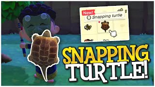 SO LUCKY! How To Catch A Snapping Turtle!  Animal Crossing New Horizons