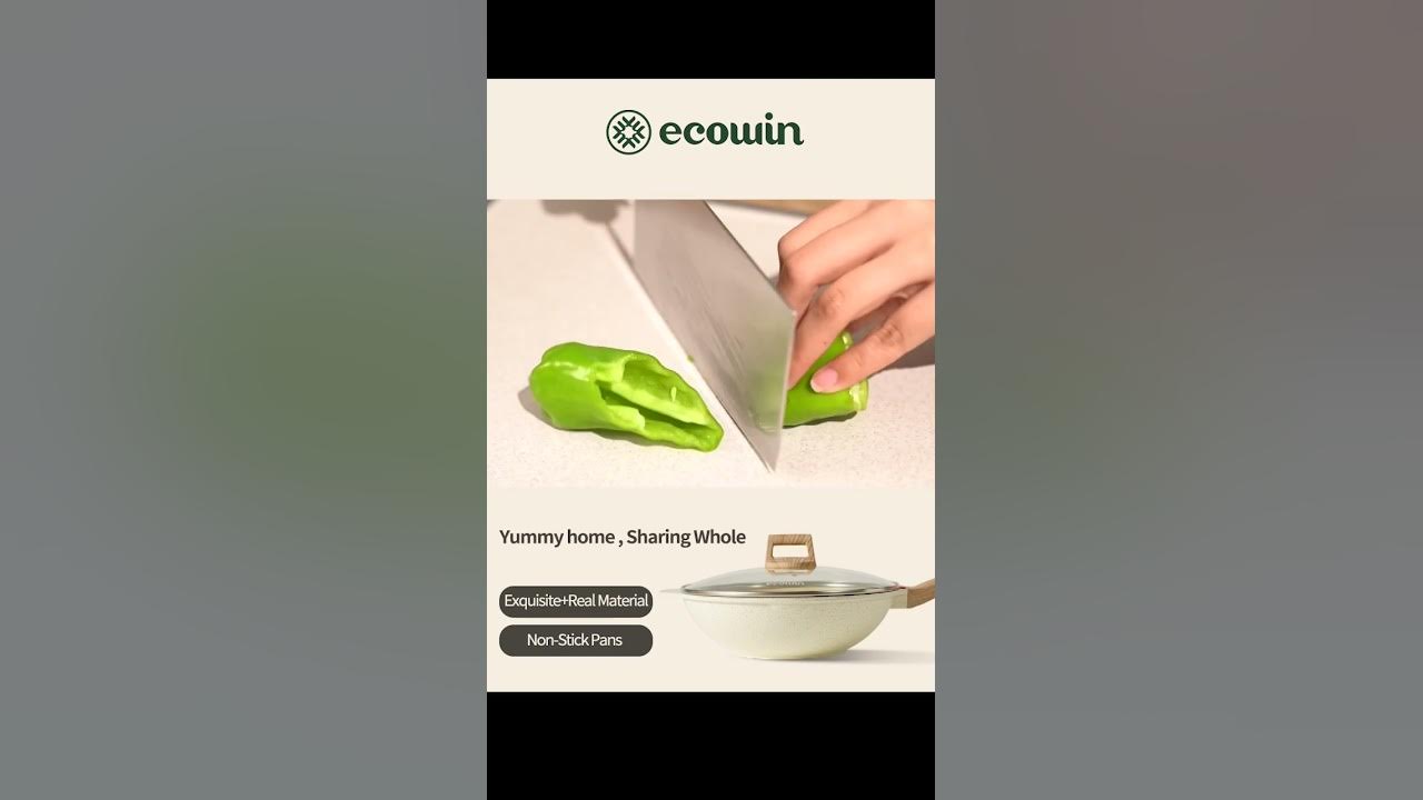 Ecowin's deep frying pan on display!! 