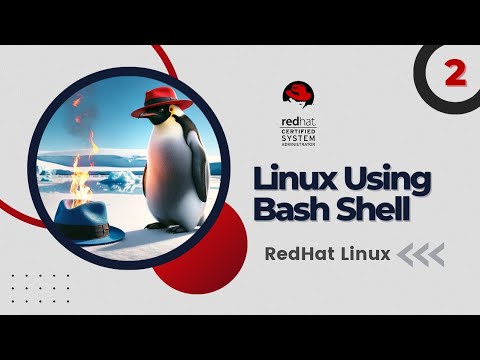 Using the Bash