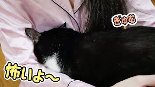 あまりの怖さに飼い主から抱きついて離れない猫