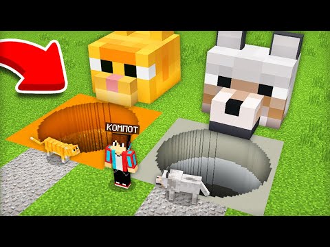 Видео: ЯМА КОШЕК ПРОТИВ ЯМЫ СОБАК В МАЙНКРАФТ | Компот Minecraft