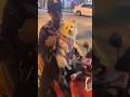 Dog on scooter #dogs #motorcycle
