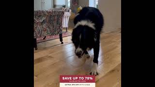 Luxury Flooring | Oct 26 | Autumn Sale | Wood | UGC EO1097 | 1:1