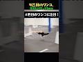 ボルトも驚愕！？ワンちゃん4人組リレーの疾走感がヤバすぎるｗｗ