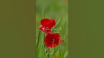 الذي خلقني فهو يهدين   ياسر الدوسري  #قران #quran #سورة #ياسر_الدوسري