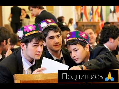 В Таджикистане запустят цифровую платформу для регистрации безработной молодёжи