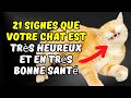 21 signes que ton chat est vraiment heureux !