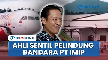 Polemik Bandara IMIP Morowali bak Negara Sendiri, Prof Henri Sindir 