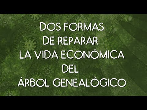 DOS FORMAS DE REPARAR LA VIDA ECONÓMICA DEL ÁRBOL GENEALÓGICO