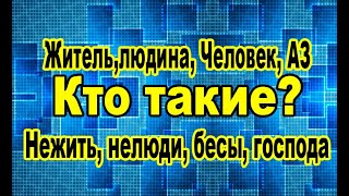 Ты в игре, уровни развития и сложности. Жизнь игра.