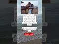 مشهد أبكى الملايين ناقة تحتضن راعيها وت عل م البشر معنى الوفاء مشهد أبكى الملايين ناقة تحتضن راعيها وت عل م البشر معنى الوفاء