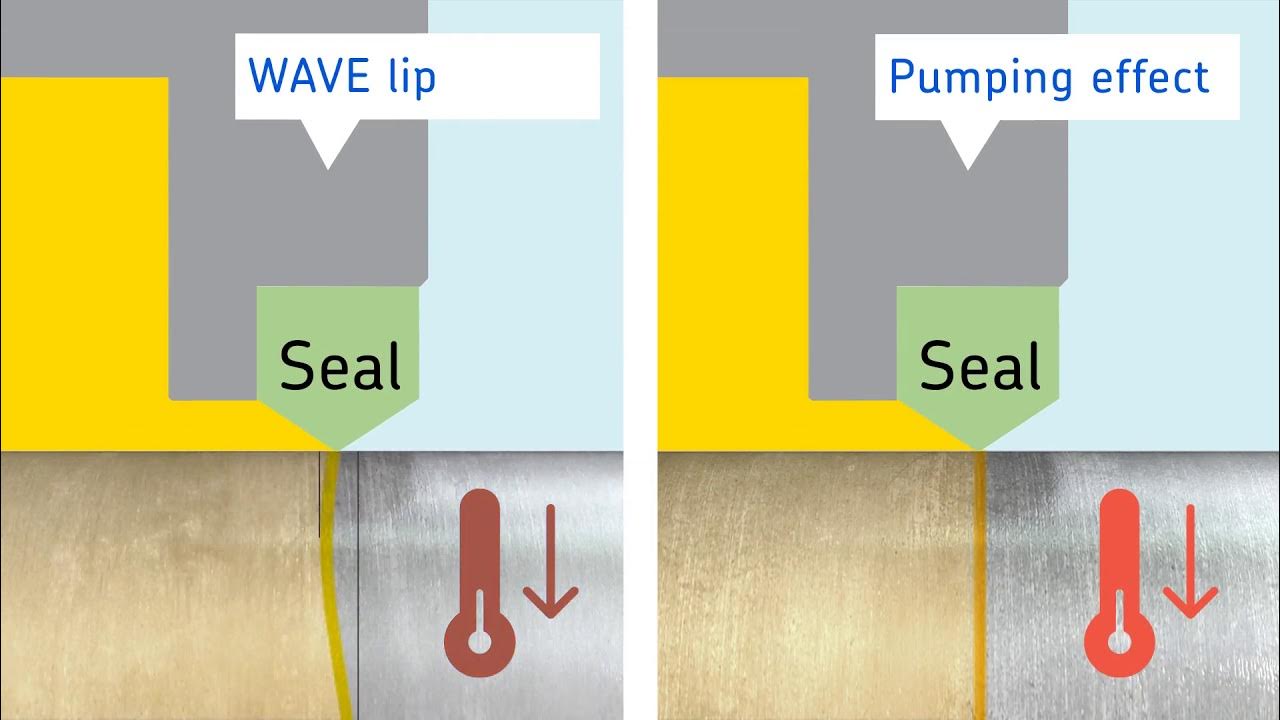 Basics of Contact Seals YouTube