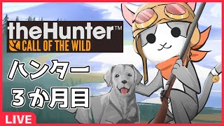 【thehunter:COTW】#108 リハビリ豚狩り('ω')【Vtuber】