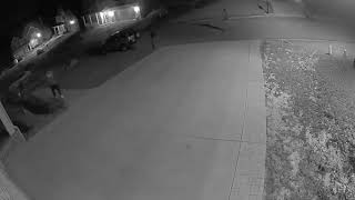 Three Men Stealing From Irmo Cars