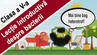 bacterii halofile)