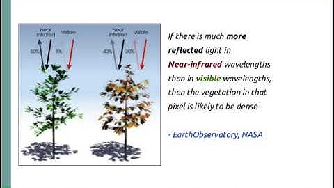 NDVI - Normalized Difference Vegetation Index