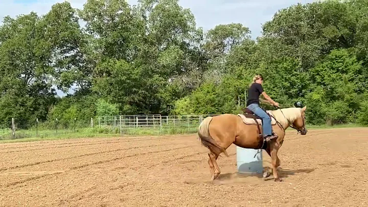Envy trotting barrel pattern 8/29/22