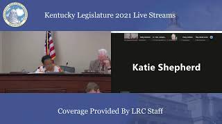Capital Planning Advisory Board (10/13/21)