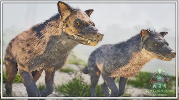 Did They Make Hyaenodon Taming Easier?? | Ark: Ragnarok Ep11