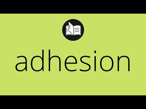 ADHESION का क्या अर्थ है • ADHESION का अर्थ • आसंजन का अर्थ • आसंजन की परिभाषा