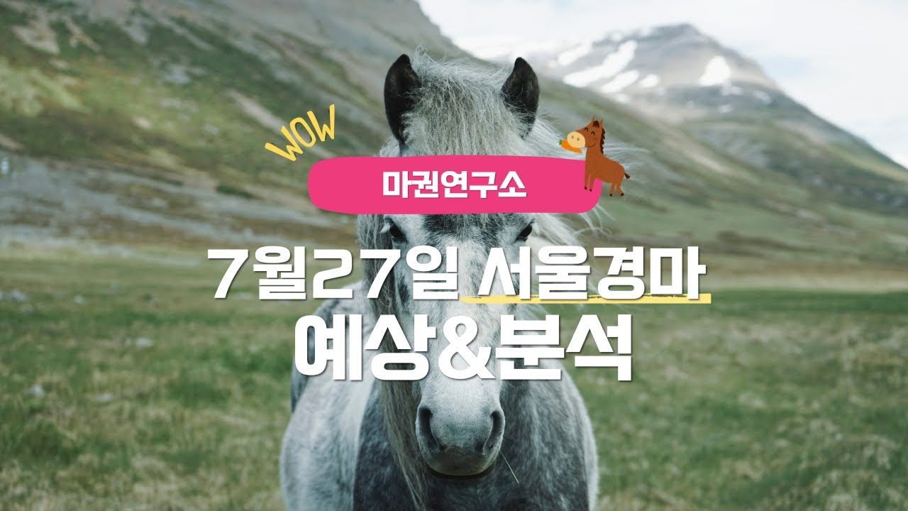 [마권연구소] 7월27일 서울경마 예상&분석(일요일 경마)