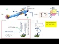 DETERMINING THE EFFECT OF GYROSCOPIC COUPLE