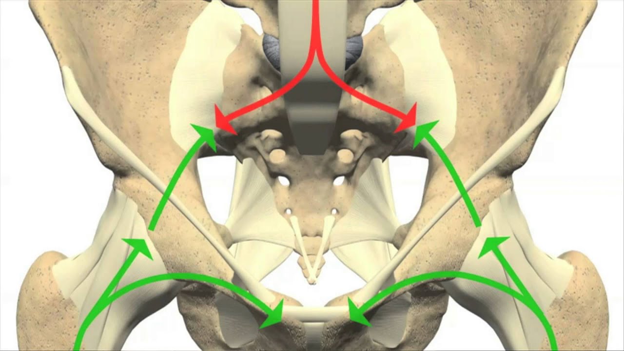 Krullaards Perfect Reset introductievideo