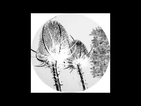 Svarog - Airport [AFFIN040LTD]