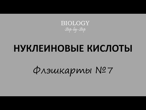 Флэшкарты по биологии №7: НУКЛЕИНОВЫЕ КИСЛОТЫ