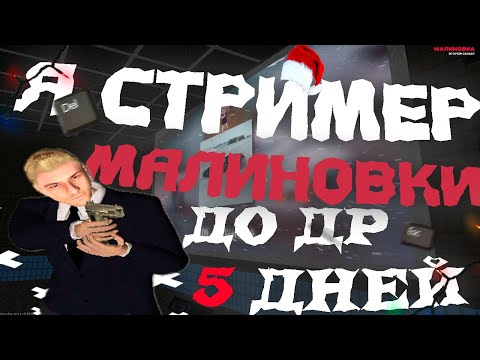 МАЛИНОВСКАЯ СУЕТА | STREAM | by Danman | #malinovka