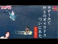 水の上も行けるようになったのでとりあえず博士の家の裏の湖に行ってきました【ポケットモンスター シールド】part42