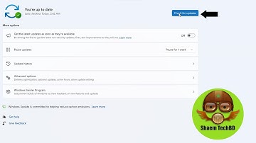 How to Install Updates Manually on Windows 11