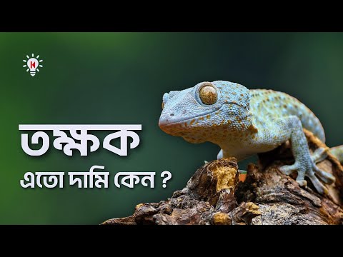 ভিডিও: গদি এত দামী কেন?