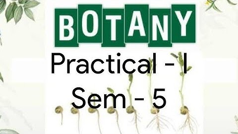 Kerala University BSc Botany - BOTANY -  PRACTICAL QUESTIONS  -  ( Sem - 5 )