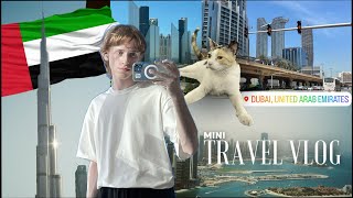 [eng/kr] 🇦🇪 пару дней дубайской жизни *мини влог* dubai daily vlog