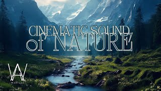 Sound of Nature : Cinematic Sound For Documentary #epic