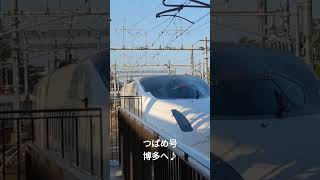 九州新幹線800系U001編成♪