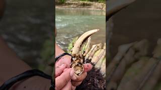 Kadaka Went Viral Smoke Came Out Apparently It Was Filled With Boar Tusks To Thicken The Weapon