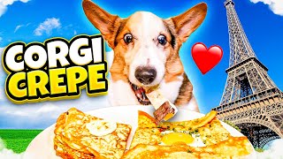 CORGI Tries Dog-Friendly Crepes by VlogAfterCollege 73,553 views 1 year ago 16 minutes