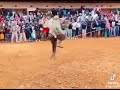 Majemeni 