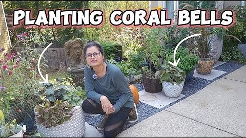 Simple & Beautiful Fall Planter Ideas with Heuchera