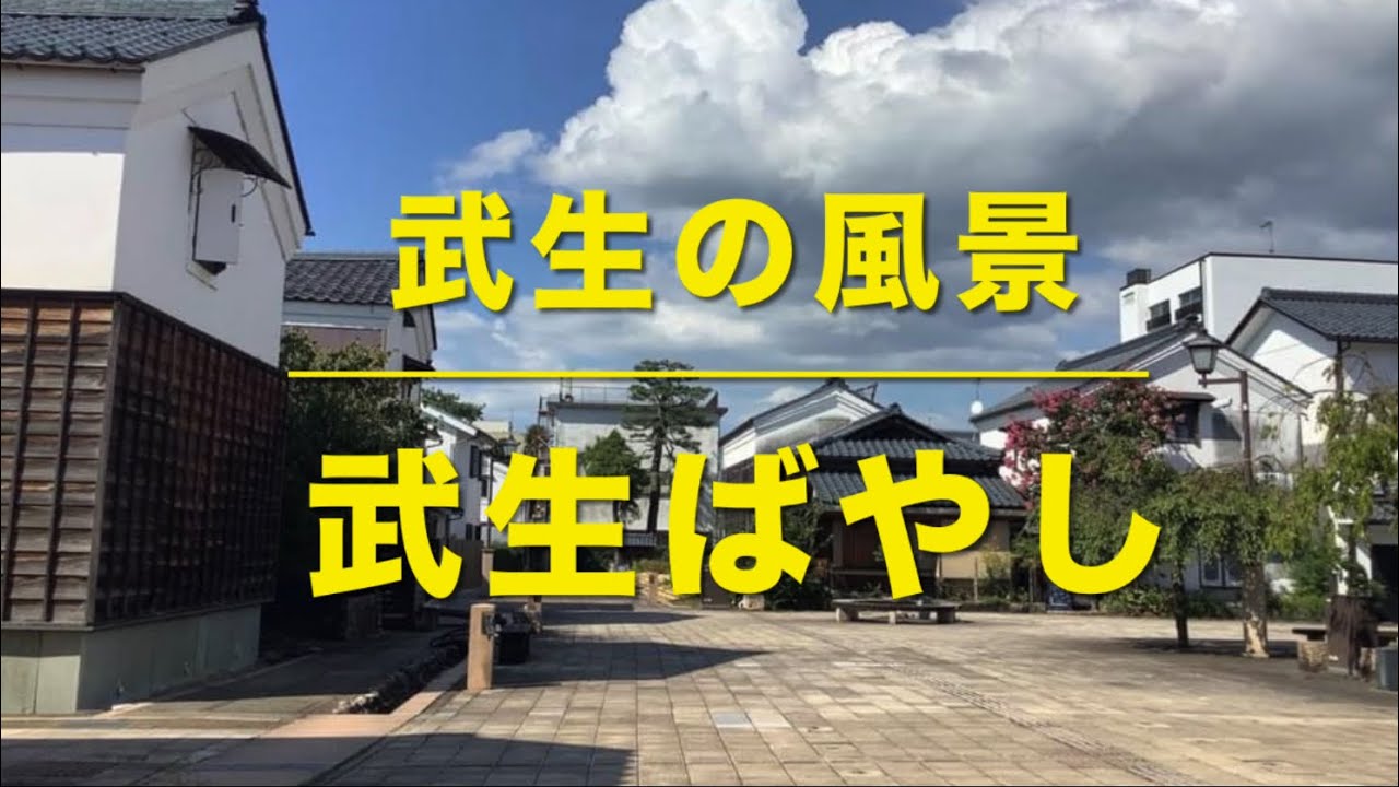 武生の風景「武生ばやし」 福井県越前市(旧武生市) /越前富士 日野川 芦山の桜 国分寺 紫式部 総社まつり 松並木 たけふ菊人形 2024年 ...