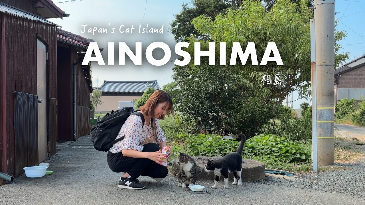 Japan’s Cat Island 🇯🇵 More Cats Than People | A Healing Solo Trip to Ainoshima, Fukuoka