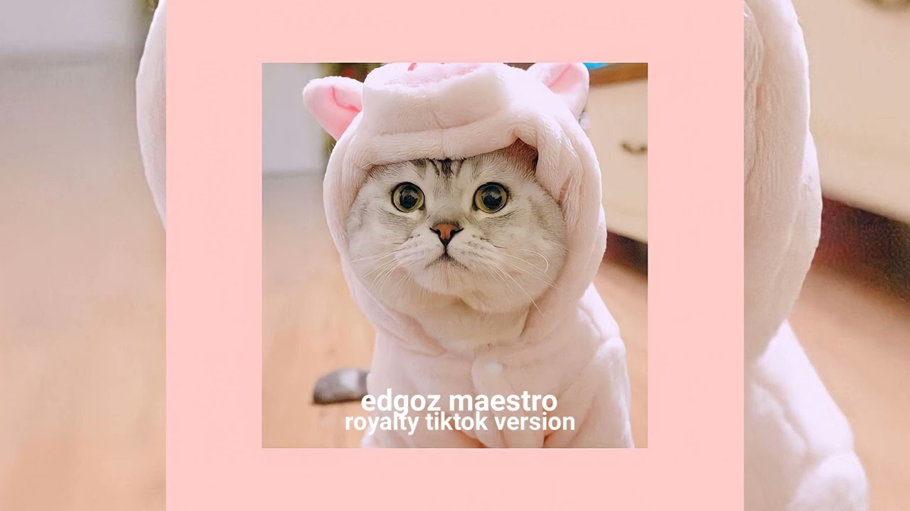 edgoz maestro - royalty tiktok version