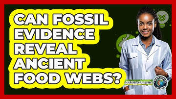 Can Fossil Evidence Reveal Ancient Food Webs? - Earth Science Answers