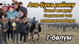 картинка: Бакыт аке уулу Сыргалыга чон  аламан улак берди 1-бөлүм 30.11.24. Өтө таза улак болду 🇰🇬💥💥💥