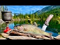 48H SOLO Backpacking & MOUNTAIN TROUT Fishing! (Catch, Cook, Camp)