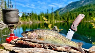 48H SOLO Backpacking & MOUNTAIN TROUT Fishing! (Catch, Cook, Camp)