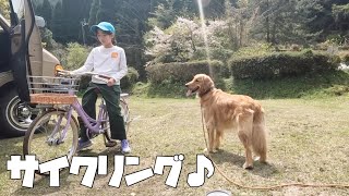 愛犬とお花見しながらサイクリングを楽しむ春休み